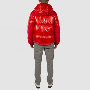 Manteau d'hiver matelassé, doublure thermique chaude, coque coupe-vent pour les activités de plein air et une utilisation décontractée - Product Image 5