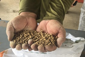 100% Adición Pollo Ganado Alimentación animal Países Bajos Agricultura Vegetal Polvo Palma Kernel Harina (PKM) Pescado Perro Otra proteína - Product Image 2