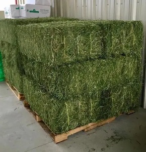 Alfalfa déshydraté de qualité export, qualité alimentaire, durée de conservation de 24 mois, utilisation pour l'alimentation animale, vente en gros par palettes - Product Image 1