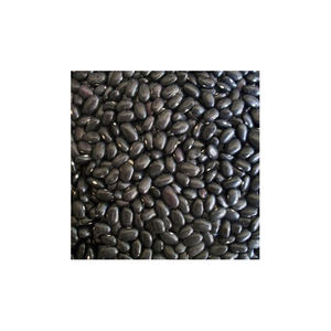 Vente en gros de haricots noirs à vendre à bas prix Quantité en vrac disponible - Product Image 3