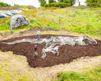 Répliques de squelettes de dinosaures Parasaurolophus en fibre de verre personnalisées pour l'affichage en musée