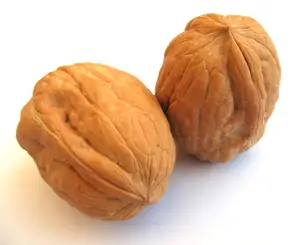Leading Exporter of Best Quality A Grade Walnuts