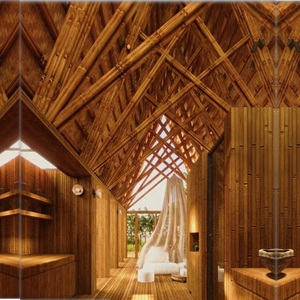 Chất lượng cao 49 mét vuông nhà kính prefab công nghiệp thiết kế hiện đại 40hc nhà gỗ hàng đầu tại Việt Nam <span class=keywords><strong>NB03</strong></span> nhà tiền chế - Product Image 5