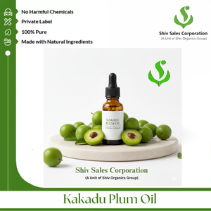 Aceite de Ciruela de Kakadu de Origen a Granel para Laboratorios Profesionales de Cuidado de la Piel, Unidades Cosméticas y Operaciones de Producción a Gran Escala - Product Image 4