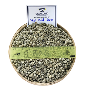 SCR16 SCR18 grains de café vietnamien Robusta de haute qualité 100% lavage propre vernis humide vert traité au meilleur prix/ANNA DO VILA - Product Image 1