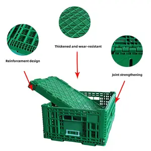 Supermarket Collapsible Crates Plastic Hard Custom Plastic Crate Transport Plastic Foldable Crate