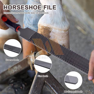 Kit d'outils de maréchal-ferrant en acier inoxydable durable pour l'entretien des chevaux - Product Image 4