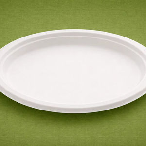 Eco-friendly Biodegradable Compostable Sugarcane Bagasse <b>Disposable</b> Modern Party <b>Plate</b> 500 Pcs/Box - Product Image 1