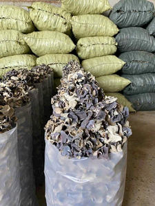 Hongo de la nube (Agaricus blazei) seco de Vietnam, ideal para distribuidores que buscan suministro estable y precios competitivos para exportación. - Product Image 5