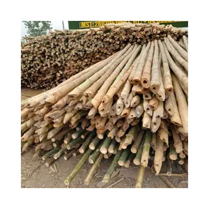 Pali di bambù naturali robusti e dritti-l'alberello di canna gigante supporta pali per piante forniture per giardinaggio pali in legno