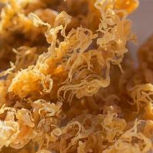 High Quality Best Price Dried Seamoss Wildcrafted Sea Moss with OEM Packaging from Vietnam - Product Image 4