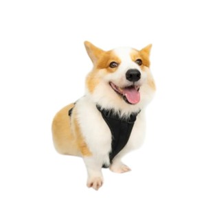 Harnais pour chien réglable en nylon avec boucle de fermeture, couleur noire unie, style simple, type Rower - Product Image 6