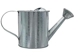 Conception personnalisée imprimé fer métal arrosoir conception personnalisée plante verte arrosoir fabricant en gros fournisseur - Product Image 3