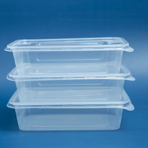 Vente chaude 2025 Usine Sans BPA 550 650 750 1000ml Rectangle Jetable En Plastique À Emporter Récipients Alimentaires Avec Couvercles - Product Image 1