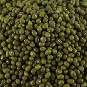 ถั่วเขียวสีเขียวสามารถส่งออกได้ในราคาฟาร์ม - Product Image 3