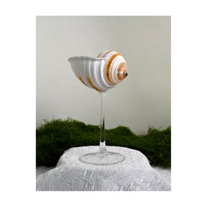 Verres à coquillages Design créatif fait à la main à partir de véritables coquillages pour comptoir de bar servant et décoration de table Vietnam - Product Image 1