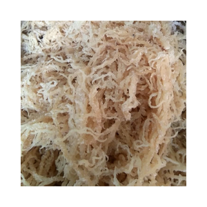 Approvisionnement d'usine de produits alimentaires vietnamiens de qualité supérieure Légumes secs biologiques crus - Product Image 5