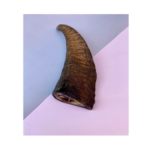 Corne de bélier Shofar polie casher haute qualité sonore pour la vente en gros de petite taille et d'artisanat naturel - Product Image 6