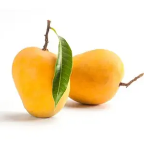 Miglior tipo di MANGO dolce surgelato di qualità miglior tipo di Mango direttamente dalla fattoria a basso prezzo