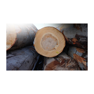 Bois de chauffage de bois dur sec en vrac de 30kg à vendre comprenant des grumes de chêne frêne et de hêtre - Product Image 5