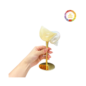 Copa de vino de concha artesanal hecha a mano para recepción de Bodas de destino y bar de cócteles de lujo - Product Image 1