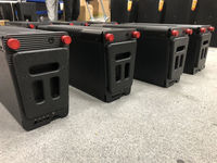 Borui double haut-parleur bidirectionnel passif de 10 pouces 800W haute SPL pénétration puissante son haute fidélité mariage Portable
