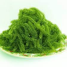 หม้อไอน้ำจากเวียดนาม - Product Image 2