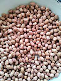 Cacahuetes Enteros Frescos de Primera Calidad TJ, Tostados, Crujientes, Refrigerio Natural, Alto en Proteínas, Sin Gluten, Sin OMG, para Hornear, 50 KG - Product Image 2