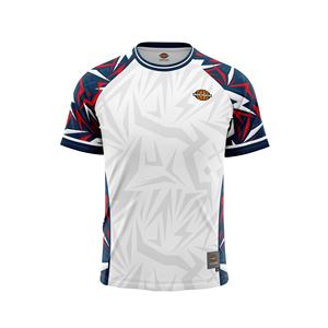 Camiseta Deportiva Moderna, Tejido Transpirable de Secado Rápido, Diseño Personalizado, Impresión por Sublimación, Logotipo del Equipo Personalizado, Impresión por Transferencia de Calor - Product Image 3
