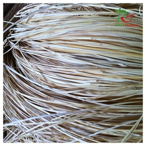 Usine du Vietnam directe HNIECO, meubles d'extérieur en rotin artisanal, 5/6 mm, 100% rotin naturel, matière première OEM, 25/50 kg - Product Image 5