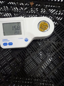 เสาวรสแช่แข็งเทรนด์ร้อนแรงขายส่ง - Product Image 6