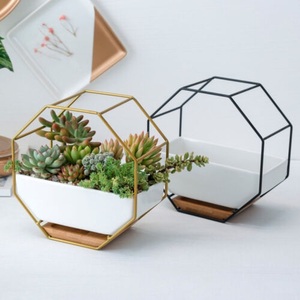 Juego de 2 terrarios de cristal hexagonales con Base de madera para decoración del hogar, jardín y oficina, nuevo diseño - Product Image 2