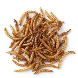 Comida seca para mascotas de gusanos de la harina de alta calidad a precio al por mayor barato - Product Image 1