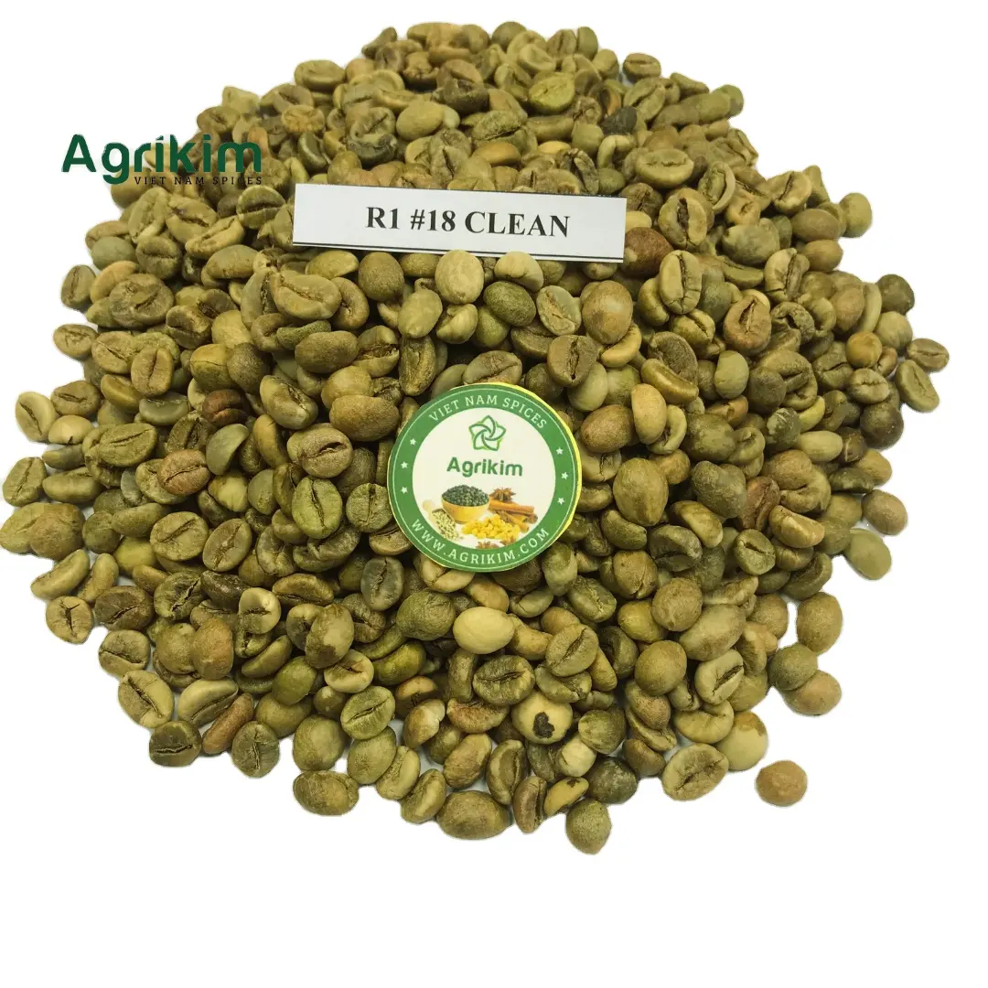 Robusta Grade 1 Screen 18 grains de café vert 100% café biologique pur prix bon marché