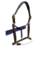Licol équestre en cuir de haute qualité avec peau de mouton avec boucles et raccords en laiton massif produit pour chevaux équipement pour chevaux