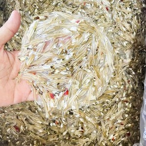 PAPEL DE ARROZ ANCHOVY SECO NATURAL/SNACK DE CALIDAD PREMIUM/TOP VENTAS AL POR MAYOR OFERTA CALIENTE VIETNAM EXPORTACIÓN LISTO - Product Image 1