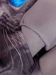 Sudadera con capucha de gran tamaño Unisex para hombres Ropa deportiva esencial para entrenamiento de invierno Sudaderas para hombres - Product Image 5