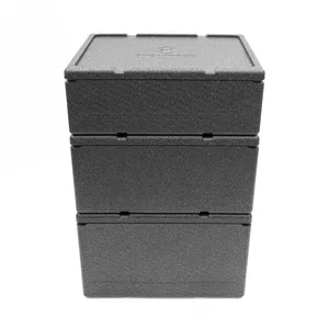 थर्मोमो कंटेनर एपीपी फोम पैकेज बॉक्स 60 किलोग्राम/एम 3 32l 46l 60l/इन्सुलेट कंटेनर ईपीपी पैकेजिंग बॉक्स