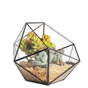 Modern Geometric <b>Glass</b> Terrarium Planter with Black Metal Frame Decorative Crystal <b>Vase</b> for Cactus Plants for Home Wedding Decor - Product Image 1