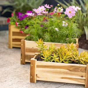 Best Price Boho Design Cylinder <b>Wood</b> <b>Planter</b> New Arrival Wholesale <b>Garden</b> Application Tree Flower Decorative <b>Planter</b> Vietnam - Product Image 3