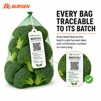 Machine automatique certifiée CE pour l'emballage en filet de légumes biologiques (brocoli, carotte, pousses), haute vitesse 30 sacs/min, qualité alimentaire
