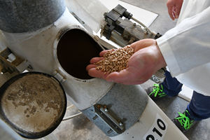 Farine italienne "0 Bio" de qualité supérieure, taille 1kg, farine de blé biologique à grains mous, idéale pour la pizza, les pâtes, la boulangerie - Product Image 5