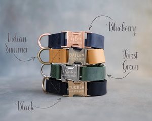 Webbing Dog Collar with Tribal Engraving, 1" Custom Fit for Boys & Girls - Product Image 4