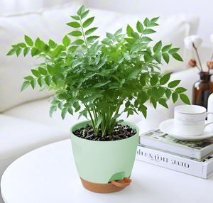Macetas <span class=keywords><strong>para</strong></span> Plantas de Interior con Orificios de Drenaje y Base Extraíble, Modernas y Decorativas <span class=keywords><strong>para</strong></span> Jardín <span class=keywords><strong>Exterior</strong></span> - Product Image 3