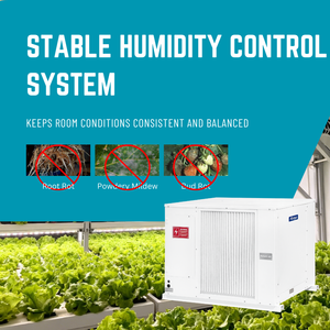 Déshumidificateur Quest pour l'agriculture verticale, contrôle d'humidité entièrement automatique, fonctionnement silencieux et efficace - Product Image 4