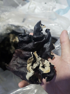 Champignon noir séché en gros Champignon d'oreille en bois séché naturel pour la cuisson des repas et des soupes de style asiatique - Product Image 5