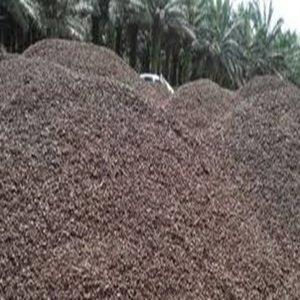 การส่งออกจำนวนมากของเปลือกเมล็ดปาล์ม (pks) สำหรับเชื้อเพลิงชีวภาพและวัสดุอุตสาหกรรม - Product Image 5