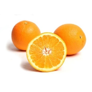 Naranjas Navel Frescas de la Mejor Calidad, Naranjas Frescas Valencia y Navel para Exportación - Product Image 6