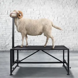 AromaNano Metal Trimming Stand for Sheep and Goats Height Adjustable Goat Shearing Sheep Livestock Stand