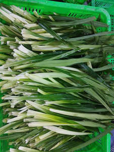 HOJAS DE PANDAN CONGELADAS/SECAS DE ALTA CALIDAD // 100% MEJORADOR DE SABOR NATURAL DE EXPORTADOR VIETNAMÉS - Product Image 5